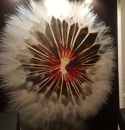 فندق Werratal 2*